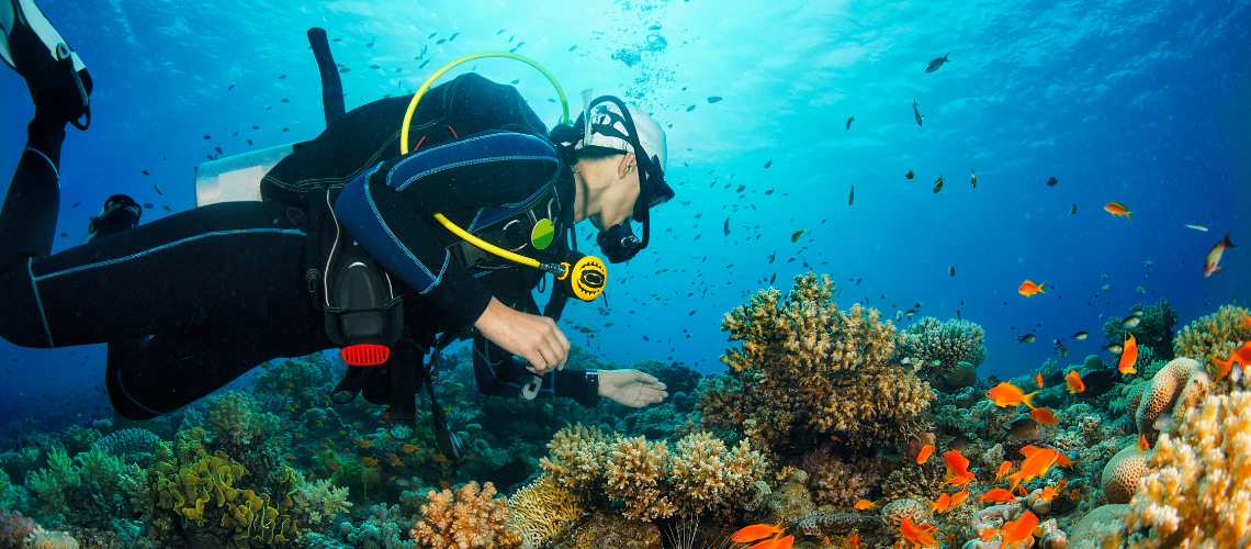 Best Scuba Diving Destinations