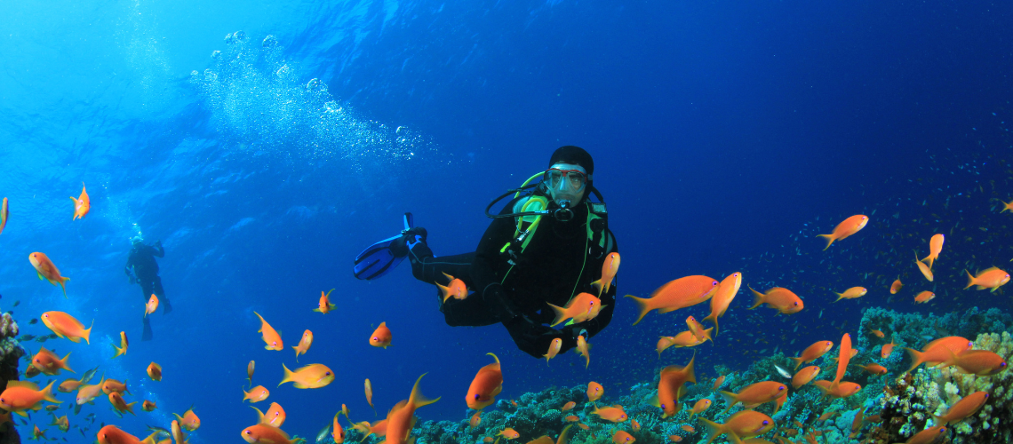 Scuba Diving Hiriketiya