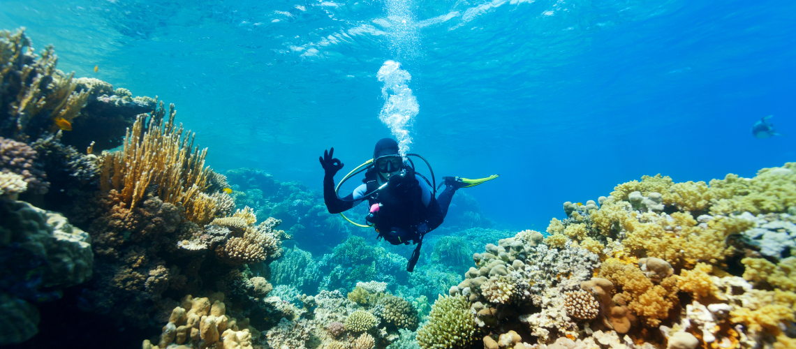 Thrill of Scuba Diving