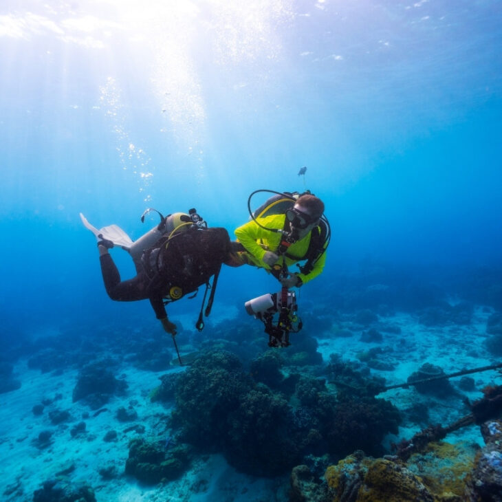 Discover Scuba Diving at Hiriketiya Beach