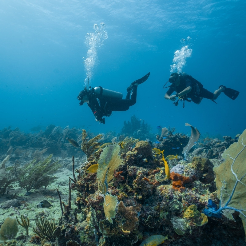 Discover Scuba Diving