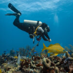 Discover Scuba Diving at Hiriketiya